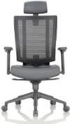 ERGONOMIC CHAIRS